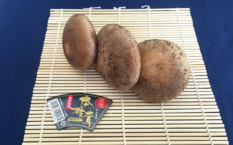 本椎茸